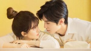 Download Drama China Hidden Love Subtitle Indonesia 1