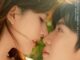 Download Drama China Hidden Love Subtitle Indonesia