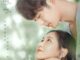 Download Drama China Romance Beyond Romance Subtitle Indonesia