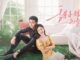 Download Drama China Sweet and Cold Subtitle Indonesia
