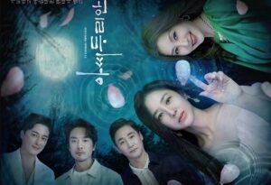 Download Drama Korea Durians Affair Subtitle Indonesia