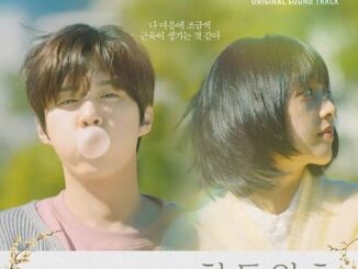 Download Drama Korea Finland Papa Subtitle Indonesia