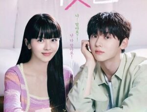 Download Drama Korea My Lovely Liar Subtitle Indonesia