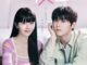Download Drama Korea My Lovely Liar Subtitle Indonesia