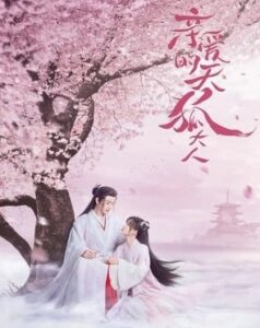 Download Drama China Dear Mr. Heavenly Fox Subtitle Indonesia