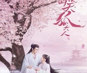 Download Drama China Dear Mr. Heavenly Fox Subtitle Indonesia