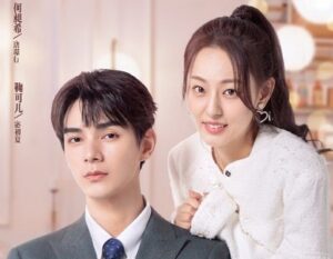 Download Drama China Ready For Love Subtitle Indonesia