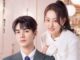 Download Drama China Ready For Love Subtitle Indonesia