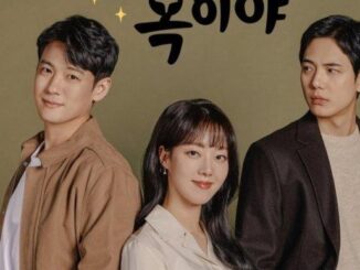 Download Drama Korea Apple of My Eye Subtitle Indonesia