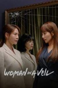 Download Drama Korea Woman in a Veil Subtitle Indonesia