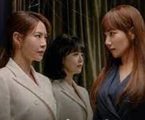 Download Drama Korea Woman in a Veil Subtitle Indonesia