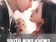 South Wind Knows