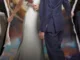 Perfect Marriage Revenge