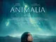 Animalia 2023