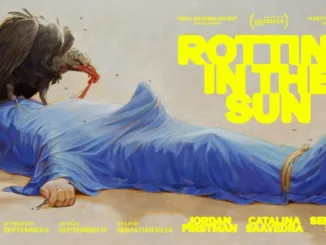 Rotting in the Sun 2023