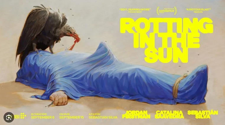Rotting in the Sun 2023 jpg