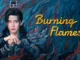 Burning Flames