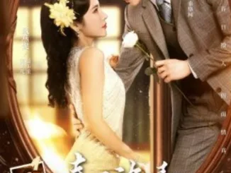 Drama China Roses Guns