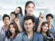 Drama Thailand Emergency Couple Subtitle Indonesia