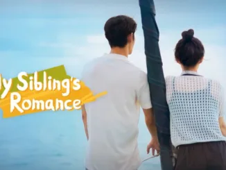 My Siblings Romance