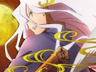 Sengoku Youko