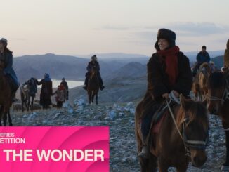 drama china to the wonder