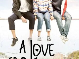 A love So Beautiful