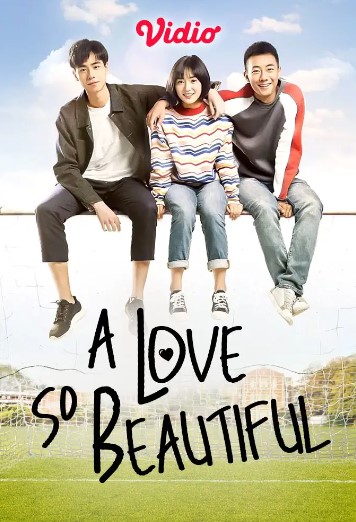A love So Beautiful