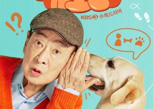 Dog Knows Everything