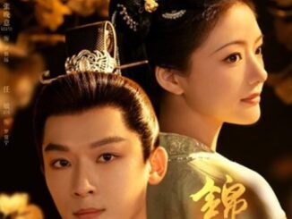 The Rise of Ning