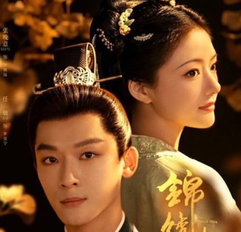 The Rise of Ning