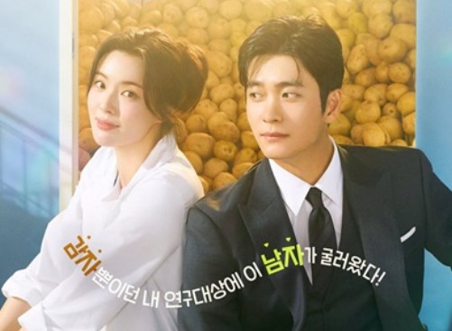 The Potato Lab