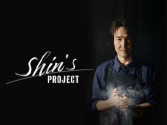 Shins Project
